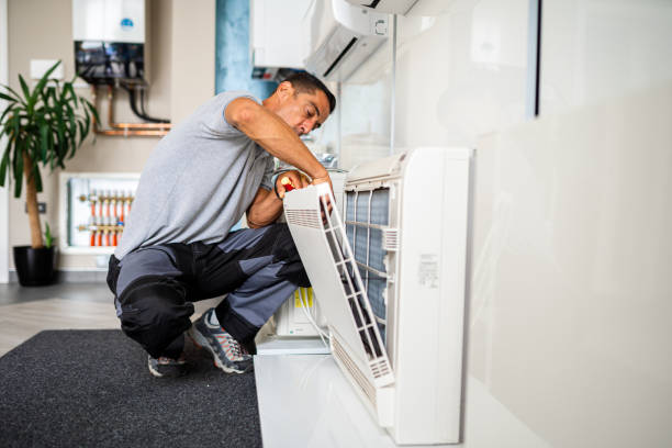 Best Local Air Duct Cleaning Services  in Annandale, VA